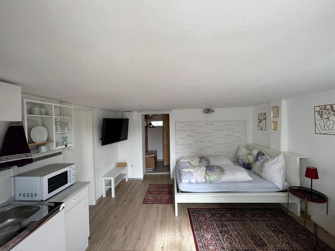 Apartment Harmony Грац Екстер'єр фото