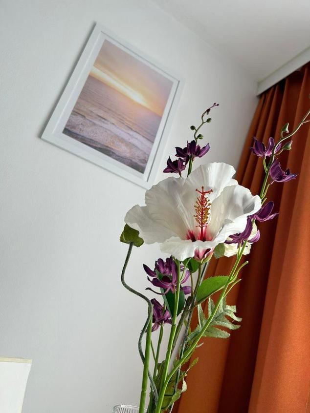 Apartment Harmony Грац Екстер'єр фото
